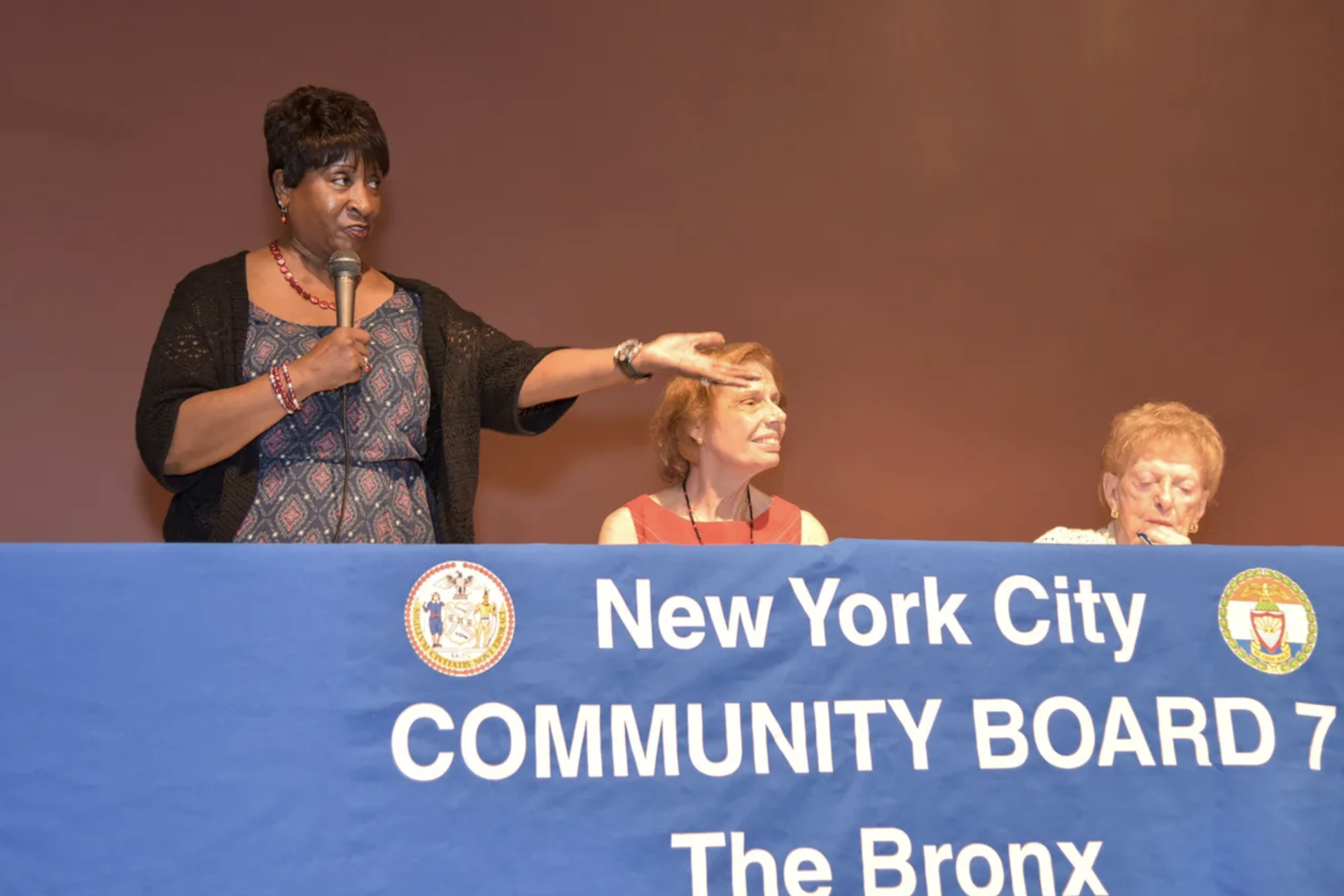 Che cos'&egrave; un Consiglio comunitario?